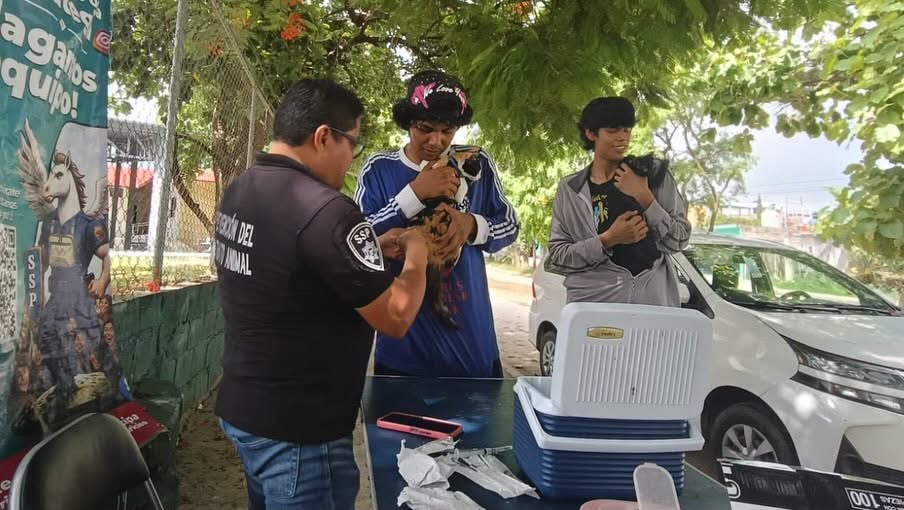 Instala la Unidad de Prevención del Delito y Política Criminal campaña “Contra el Maltrato Animal”