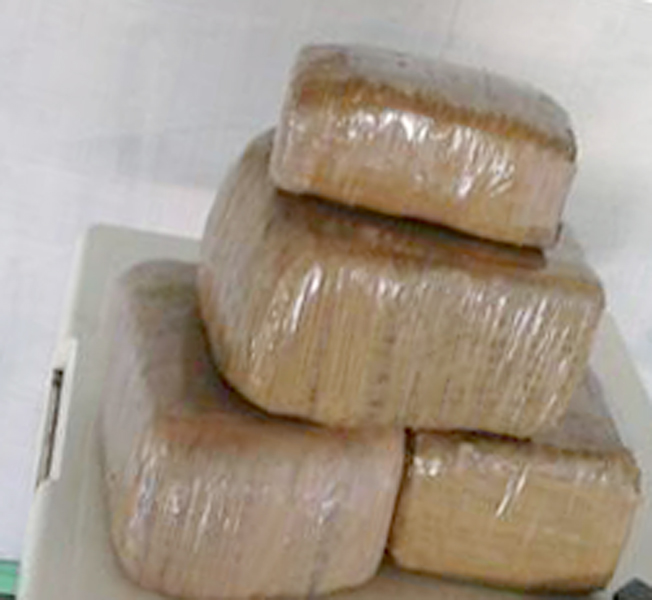 SSP y Mando Único Policial decomisan 13 kilogramos de marihuana