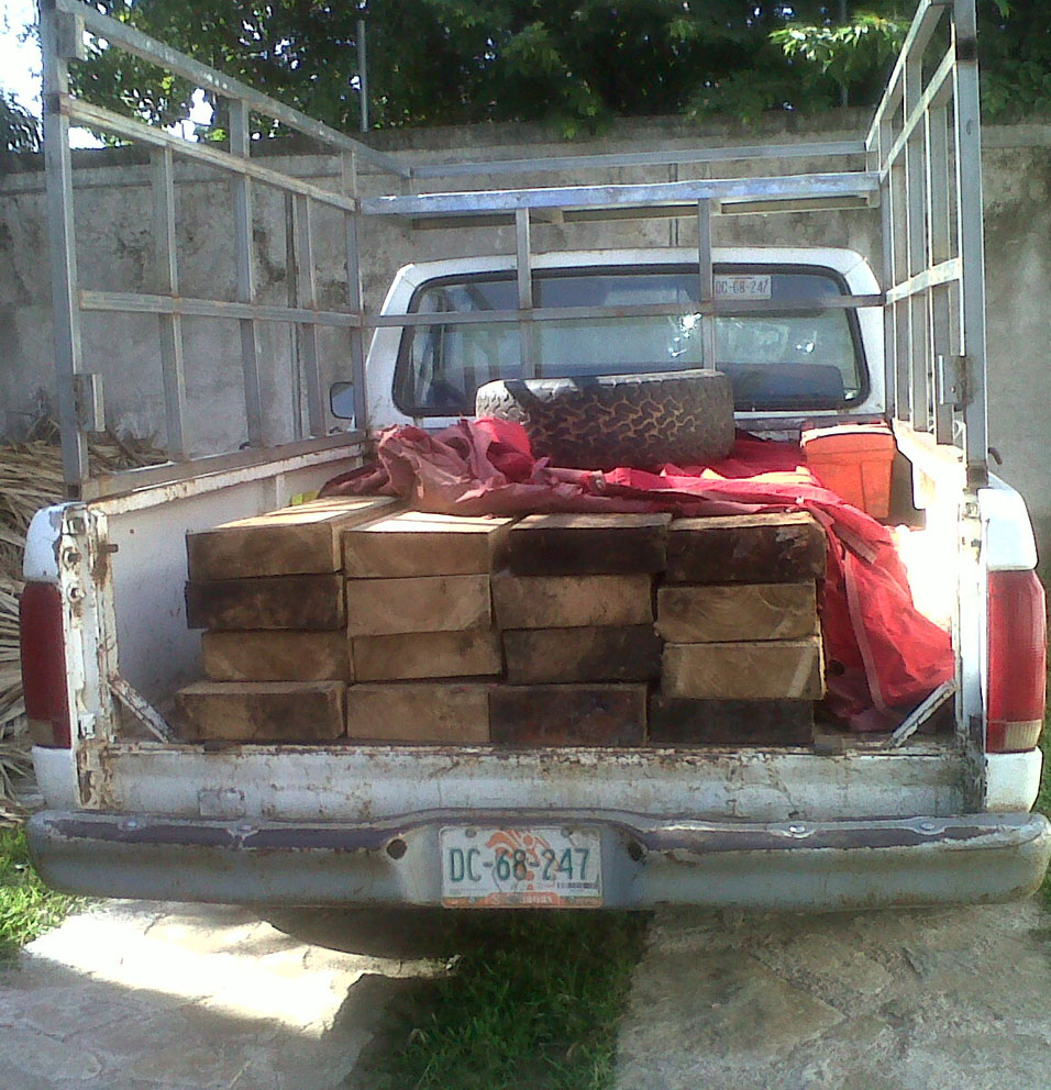 Detienen a 5 personas por transportar material forestal sin permiso: SSP