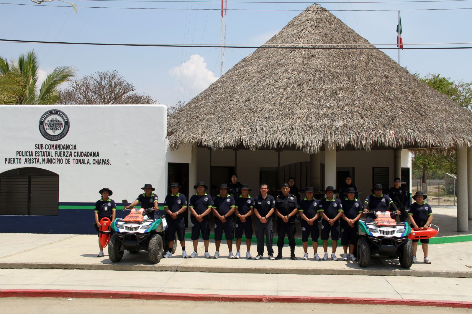 SSP coadyuva en la protección de tortuga golfina en  playas de Chiapas