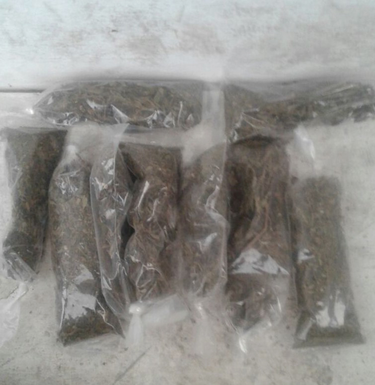 SSP detiene a dos personas en posesión de presunta droga