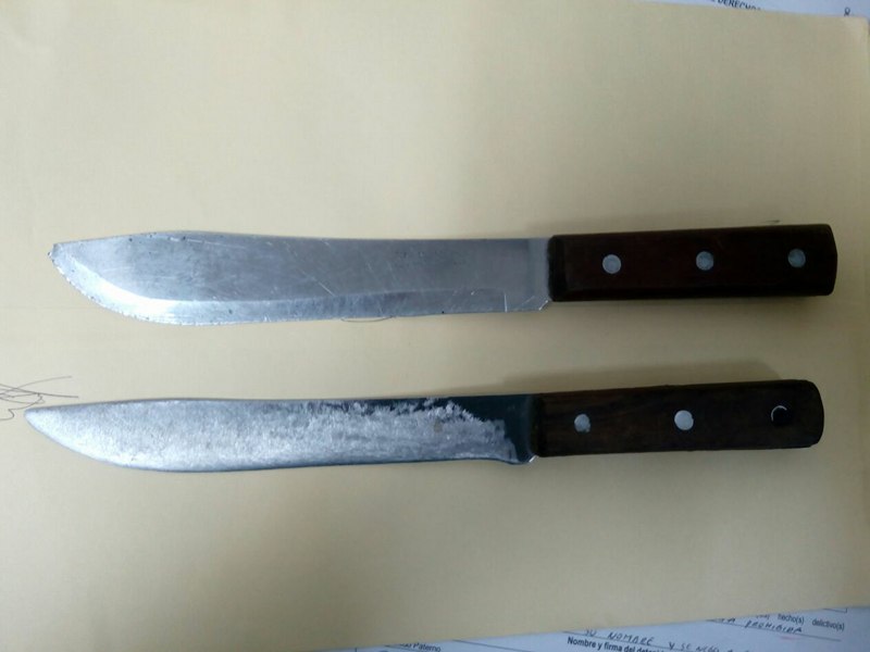 Elementos de la Policía Estatal Fuerza Ciudadana, frustra robo a tienda comercial