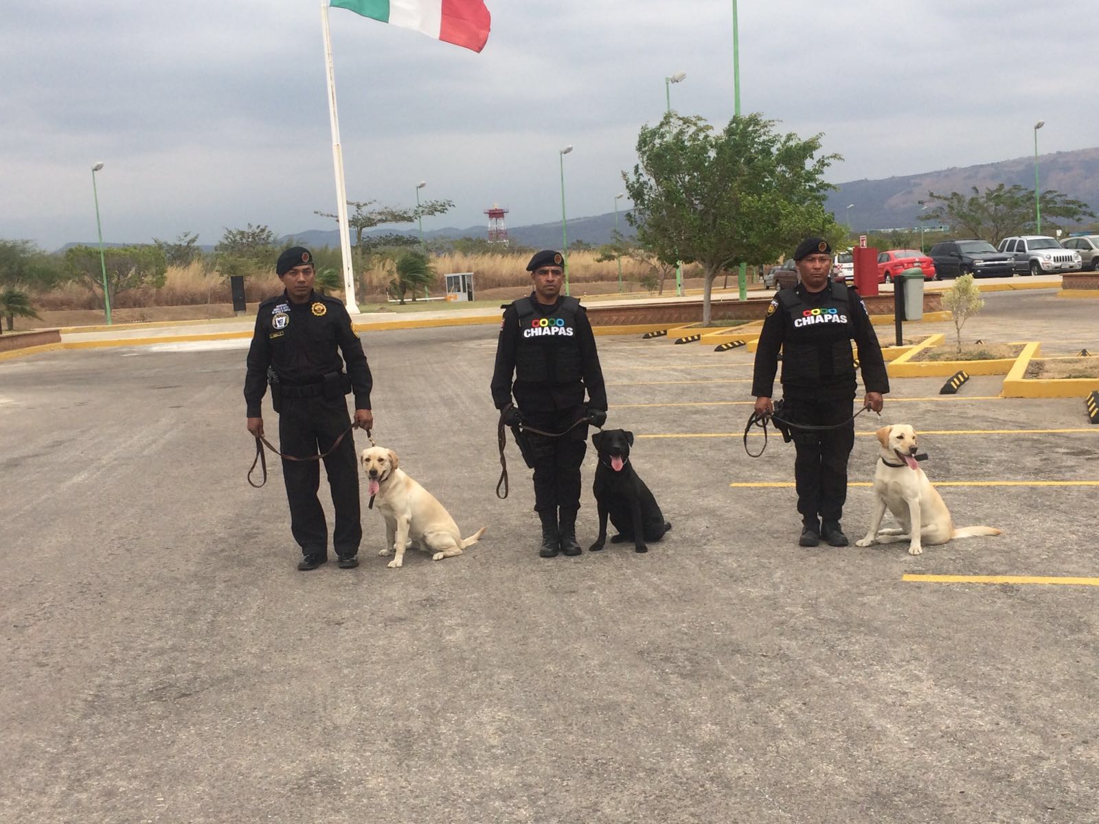SSyPC recibe de la embajada de los Estado Unidos, caninos para la seguridad