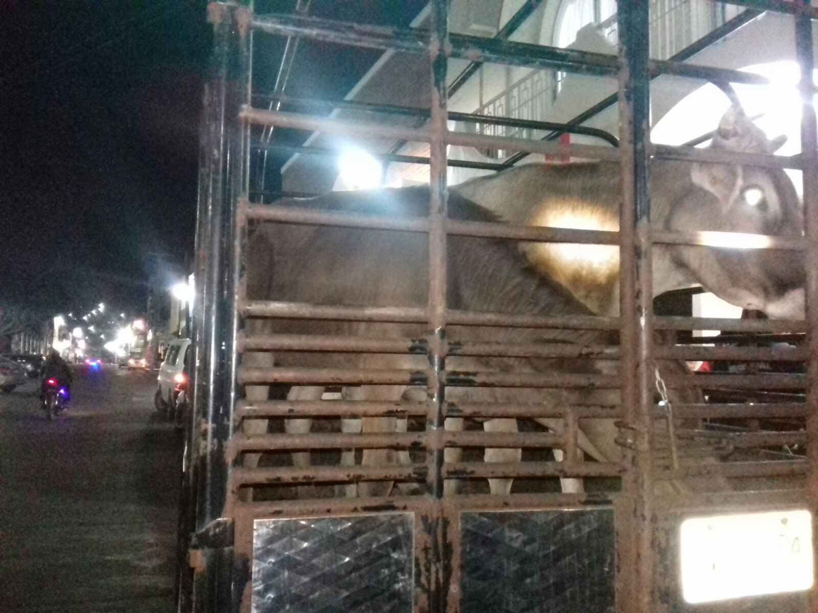 SSP y Policía Municipal detiene a presuntos abigeos