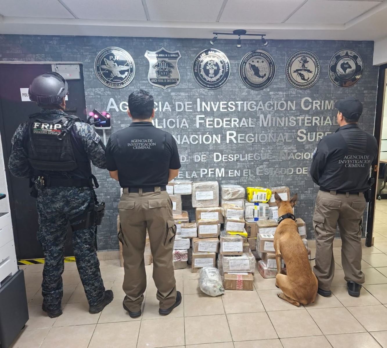 Fuerza interinstitucional conjunta aseguró narcóticos en bodegas de la empresa de paquetería DHL en Tuxtla Gtz
