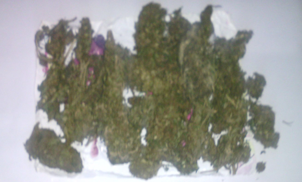 En acciones coordinadas, SSP frustra robo a transeúnte y venta de droga