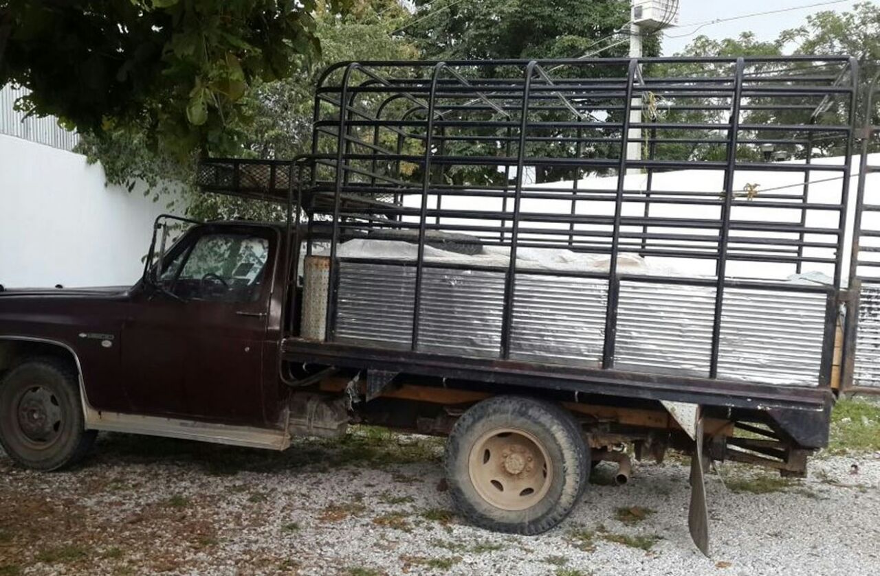 SSP decomisa madera y detiene a la persona que lo transportaba