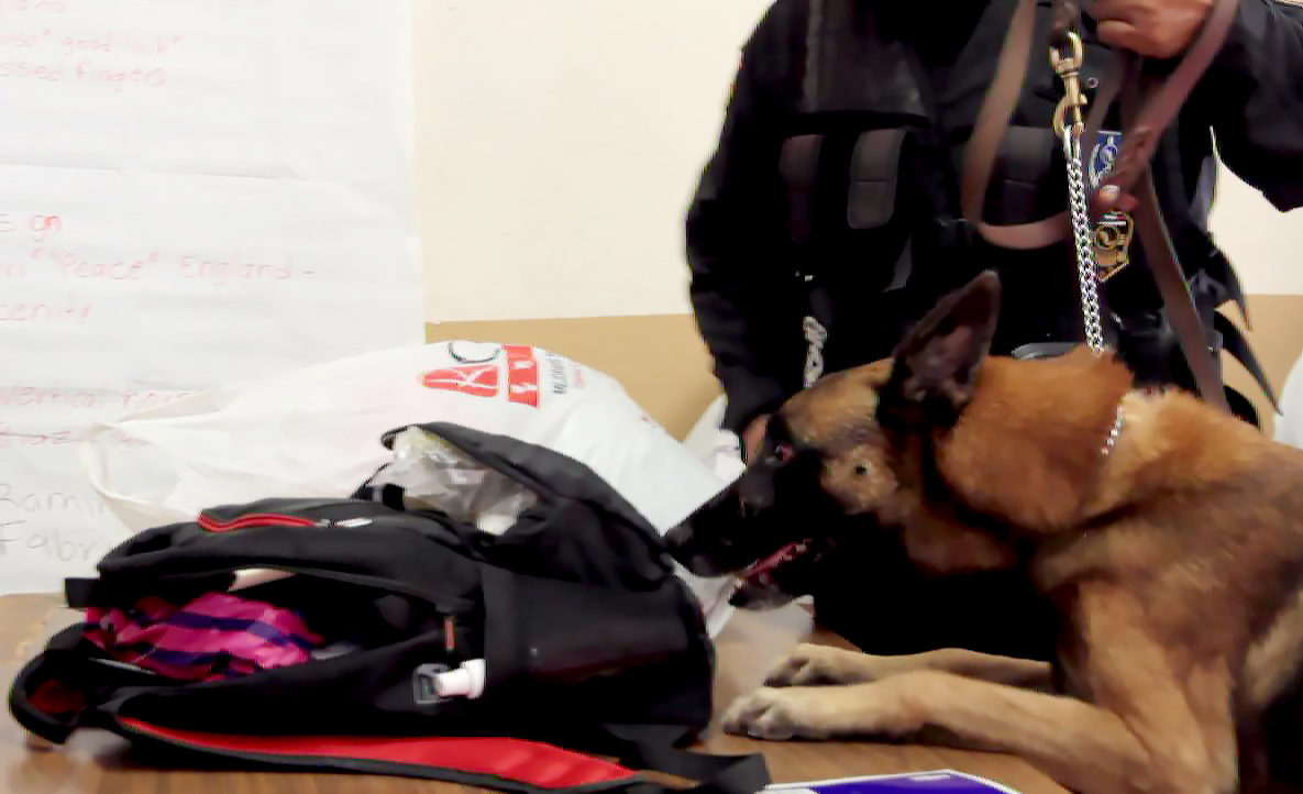Como parte del programa Escuela Segura, la SSP implementa “Operativo Mochila”