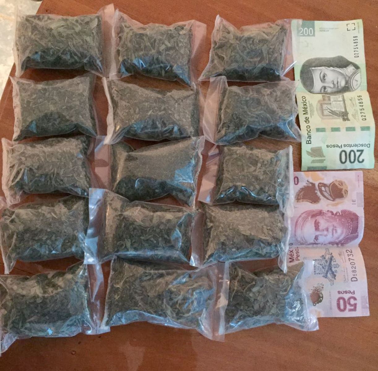 SSP decomisa droga en las vías del tren