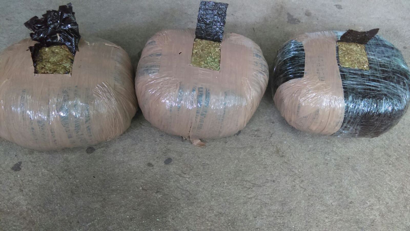 Asegura SSP nueve kilogramos de marihuana y detiene a una persona
