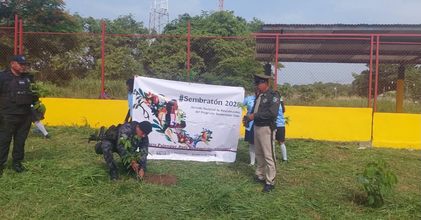 Guardia Estatal Vial Preventiva participa en “Sembratón 2026” en Marqués de Comillas