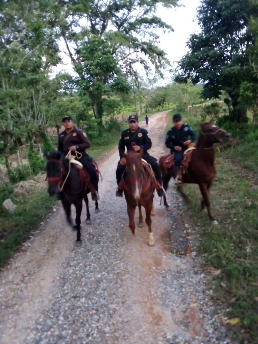 Establece SSP patrullaje matutino y vespertino en combate al abigeato
