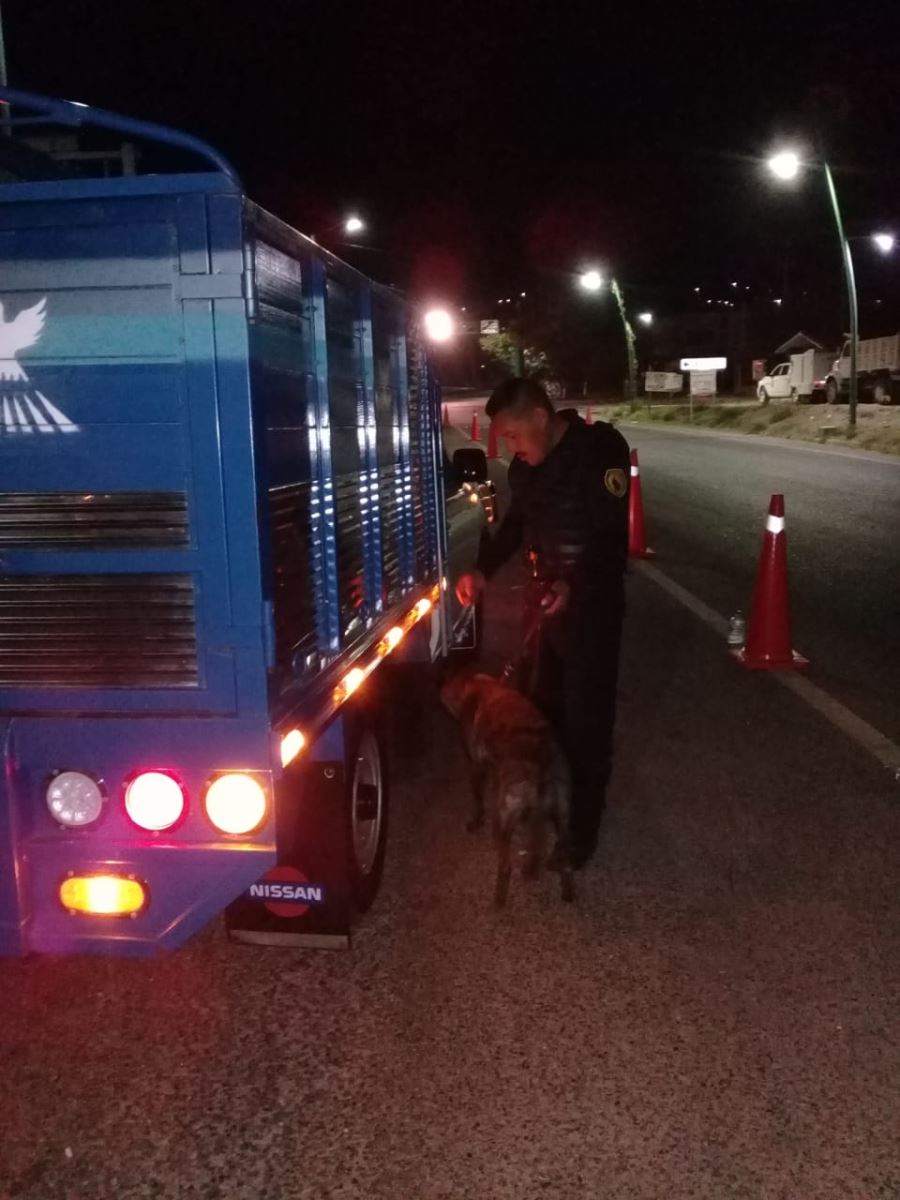 Concluye festejo de fin de año con incidentes menores