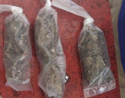 Detiene SSP a una persona en posesión de droga