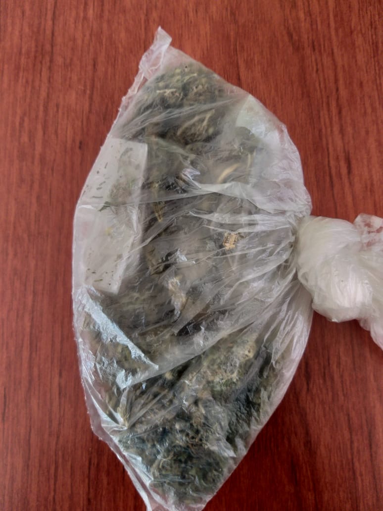 SSP detiene a dos personas en posesión de droga en San Cristóbal