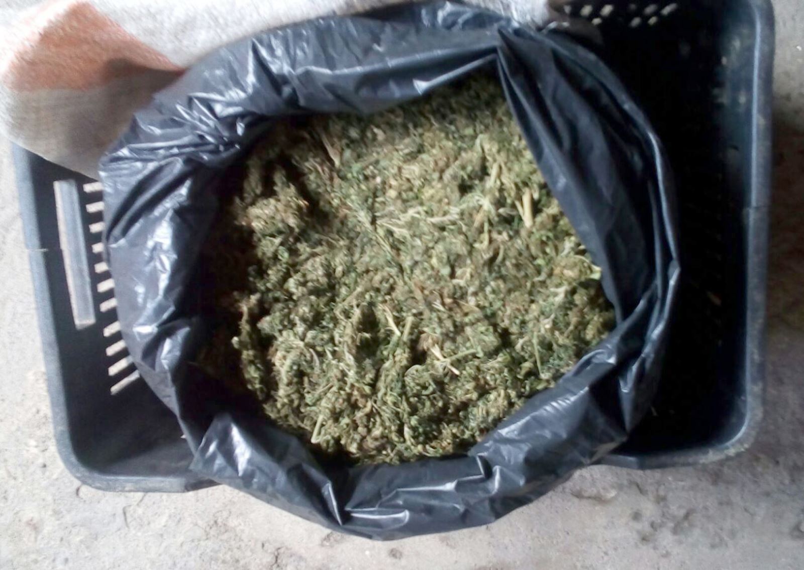 SSP asegura en carretera casi cuatro kilos de marihuana