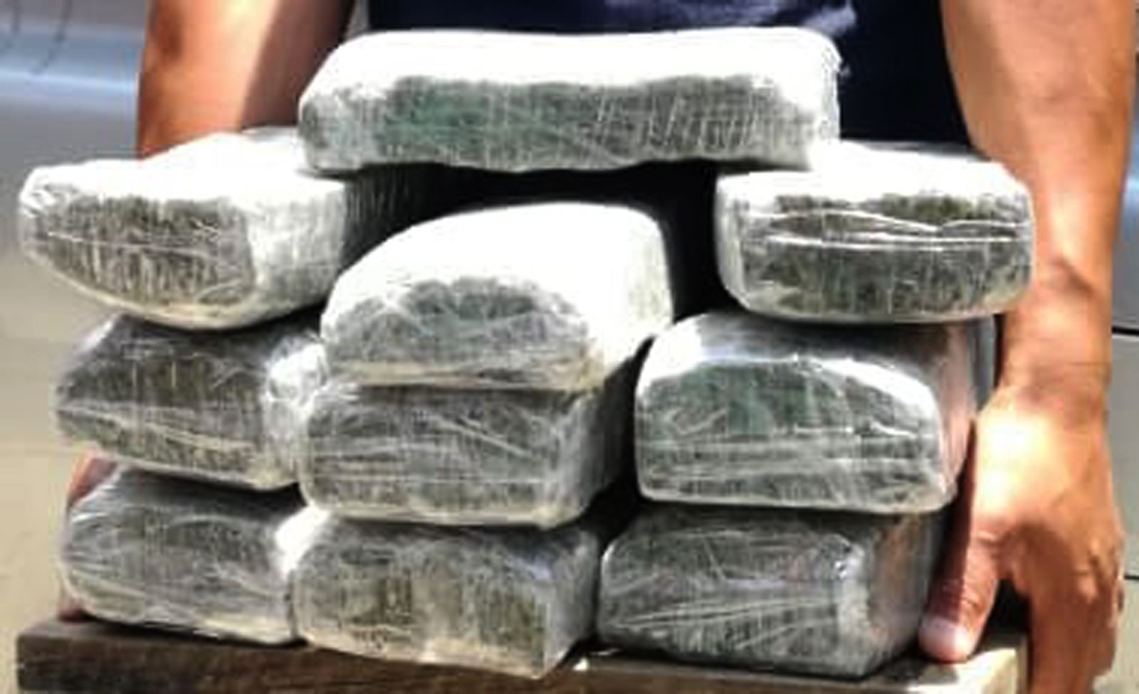 SSP asegura 10 kilogramos de marihuana
