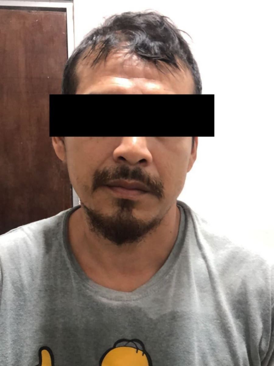 Un animal no puede alzar la voz, por eso la alza la justicia, SSP