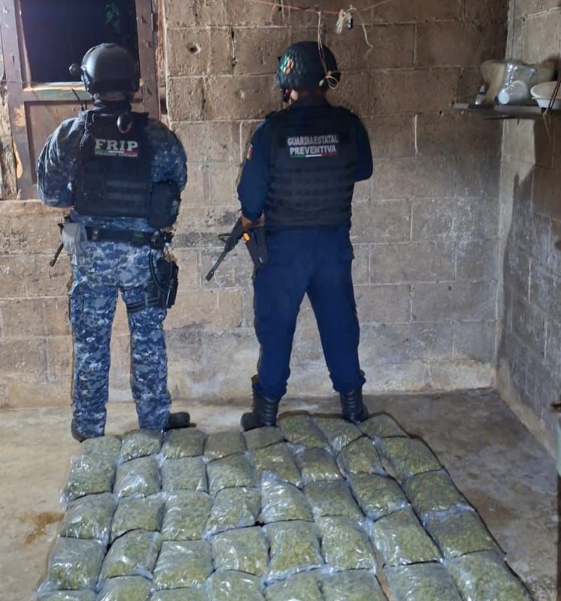 Asegura SSP 20 kilogramos de presunta marihuana en Motozintla