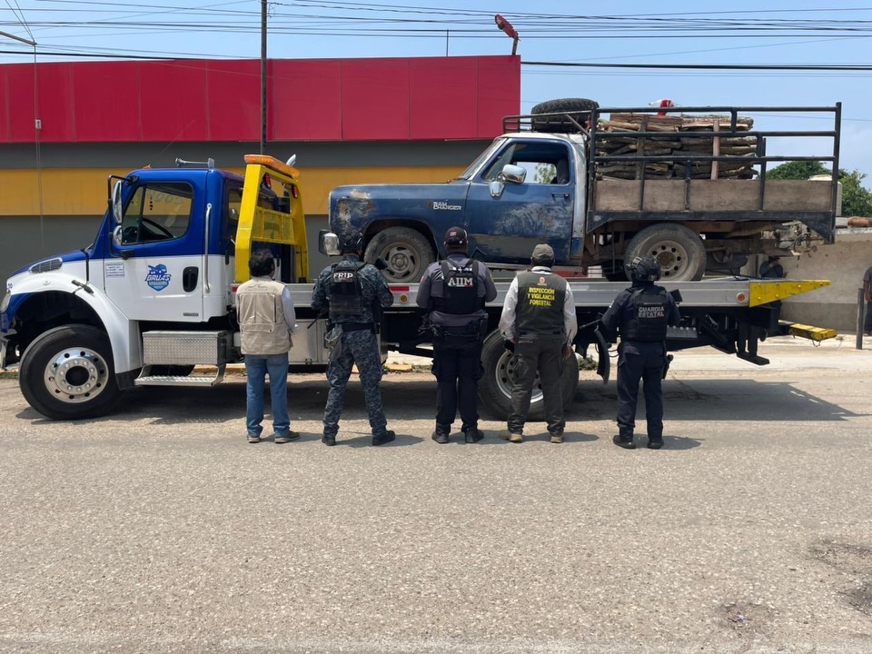 En operativo interinstitucional detienen en flagrancia a persona por ecocidio en Ocozocoautla de Espinosa