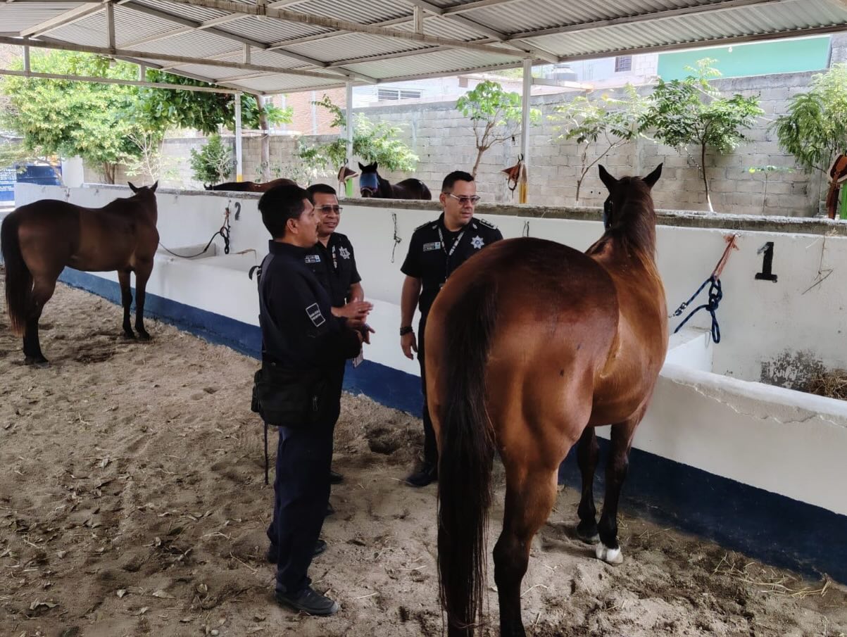 Realiza la Unidad de Asuntos Internos acciones de inspección al Centro de Equinoterapia en Tuxtla Gutiérrez 