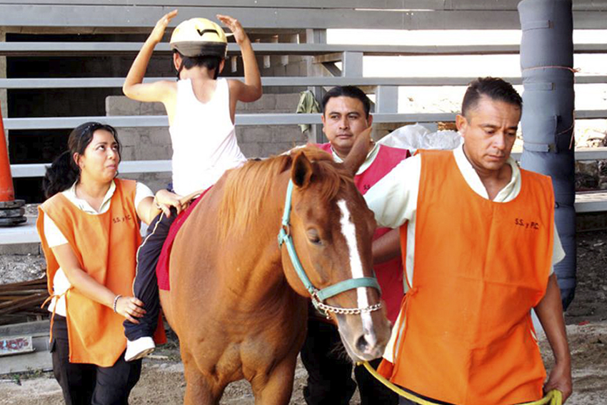 SSP fortalece la atención de pacientes con diferentes patologías en el Centro de Equinoterapia