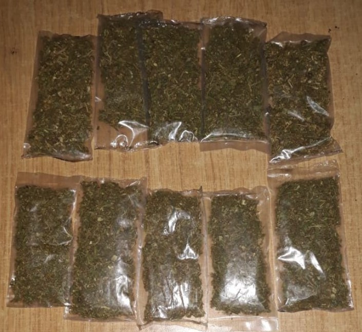 Asegura SSP presunta droga en Palenque y Reforma