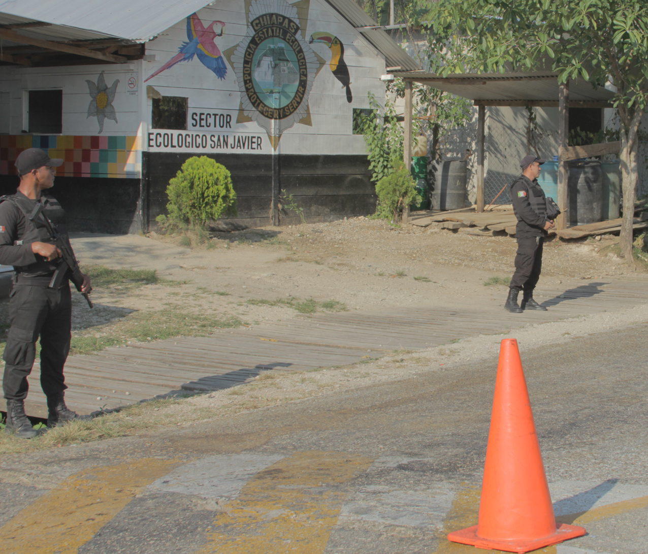 Policía Ecológica detiene a sujetos que transportaban especie en peligro de extinción