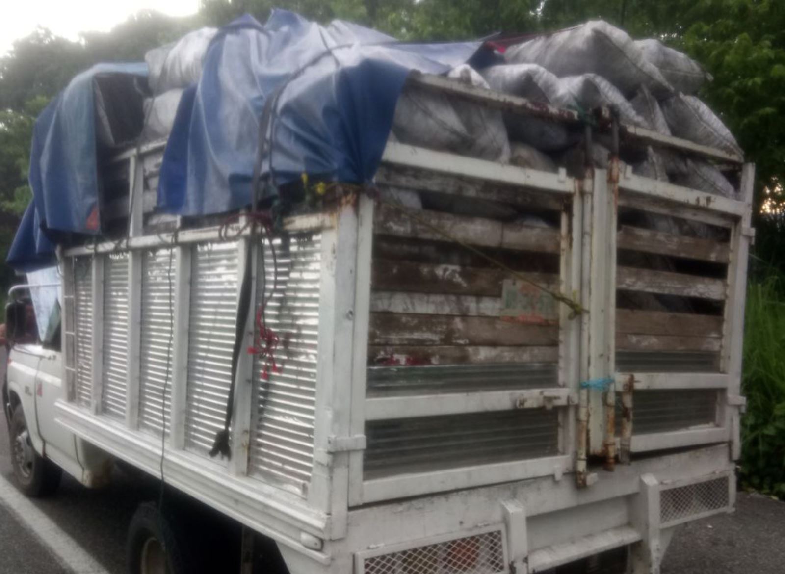 SSP asegura cargamento ilegal de carbón