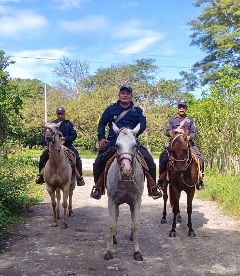 Realiza SSyPC acciones preventivas contra el abigeato en Pijijiapan