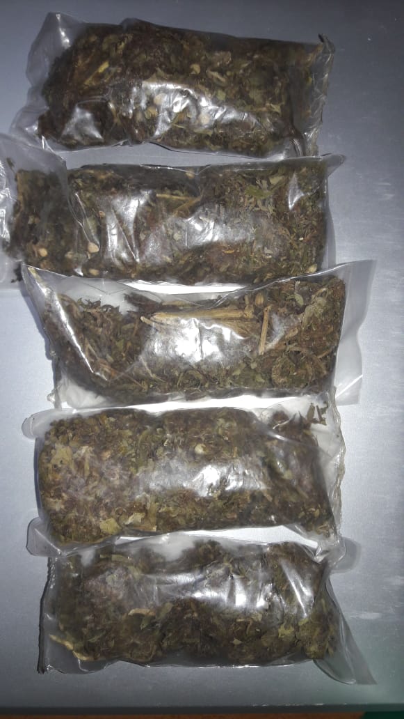 SSP asegura droga en el Soconusco