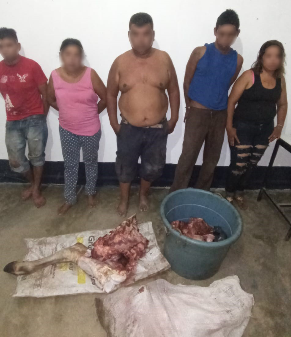 Detiene SSP a cinco presuntos responsables del delito de abigeato en Huixtla