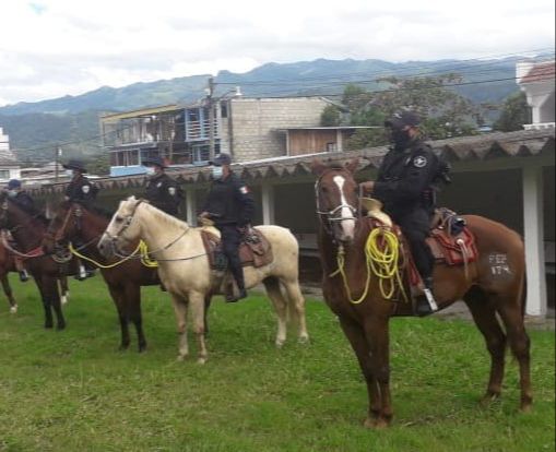 Con Agrupación de Caballería SSP coadyuva en combate del abigeato en Ocosingo