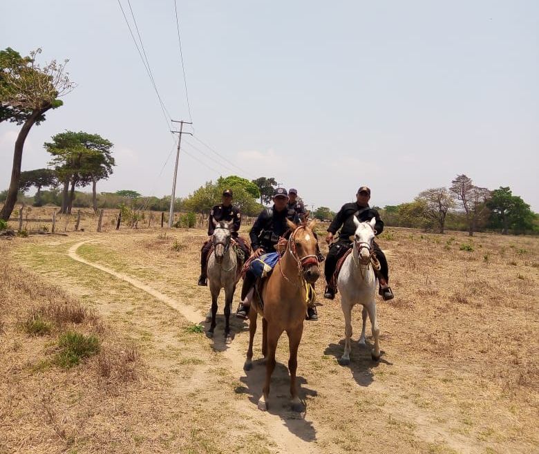 Realiza SSP patrullajes preventivos para combatir el abigeato en la región Costa