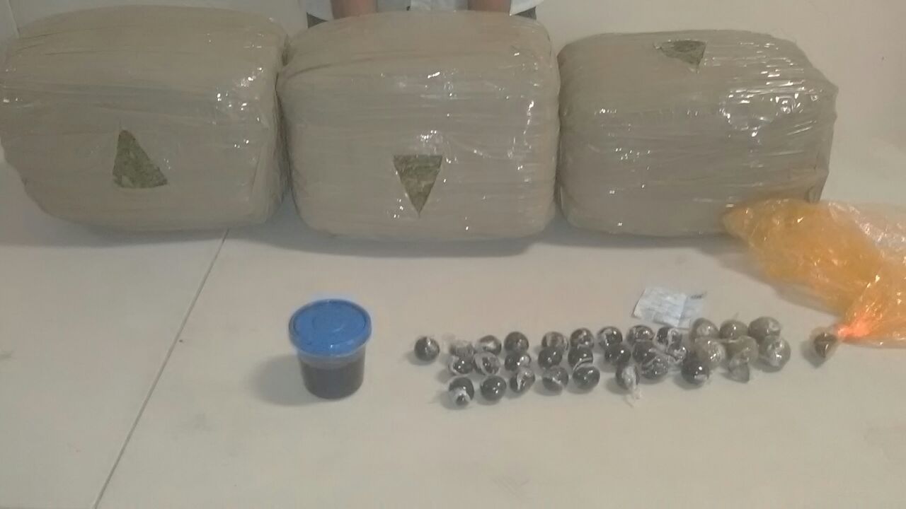 SSP, detecta transporte de madera ilegal y droga