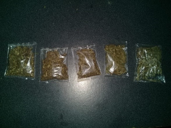 SSP asegura droga en la región Metropolitana y Soconusco