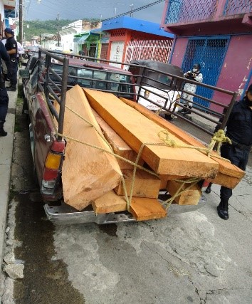 SSP asegura madera que era transportada de manera ilegal