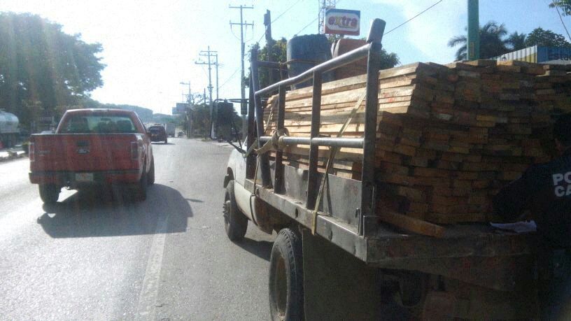 Elementos de Fuerza Ciudadana aseguran material forestal en puesto de control