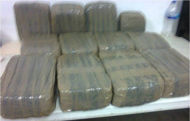 Elementos de la SSP aseguran 12 kilogramos de marihuana abandonados