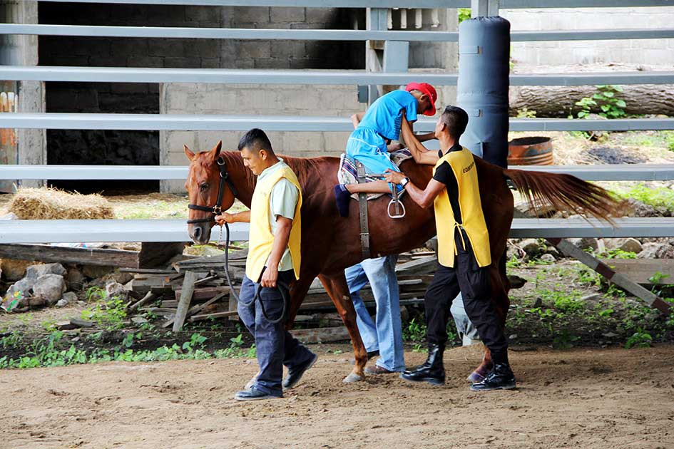 Casi dos mil atenciones de rehabilitación, a través del Centro de Equinoterapia de la SSP