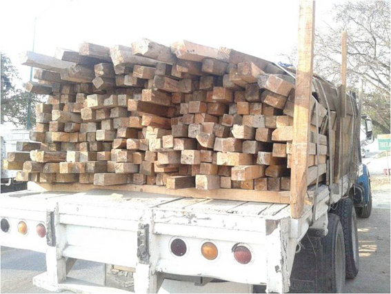 Elementos de Fuerza Ciudadana aseguran camión de 10 toneladas con piezas de madera