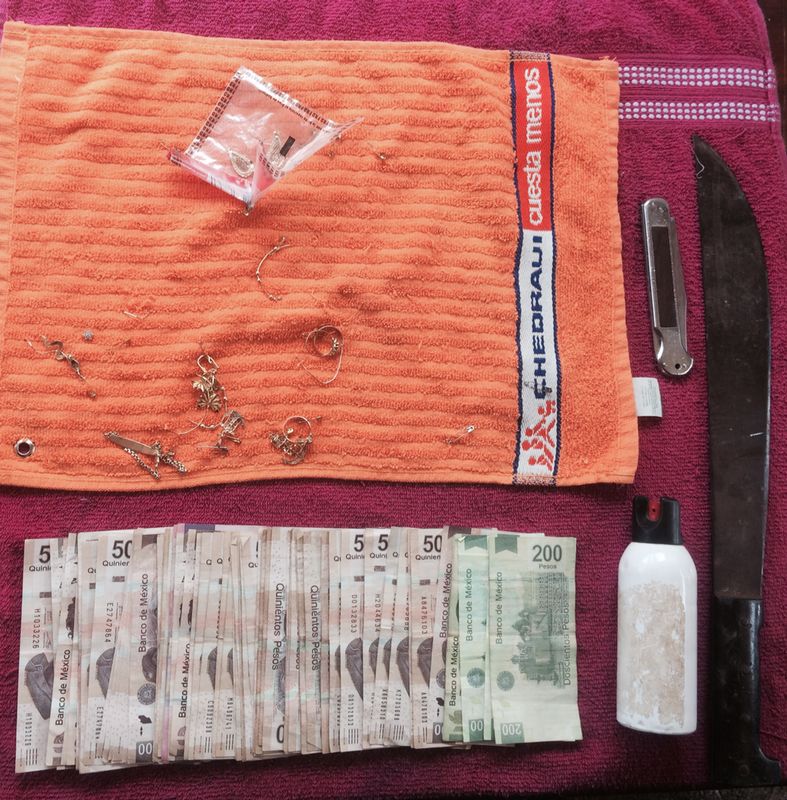 Fuerza Ciudadana desintegra bandas dedicadas al asalto y robo a casa habitación