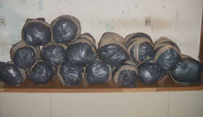 SSyPC asegura marihuana abandonada en un vehículo