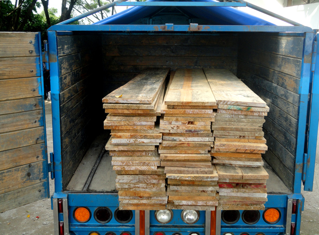 Detienen a presuntos responsables de delitos contra la salud y ecocidio