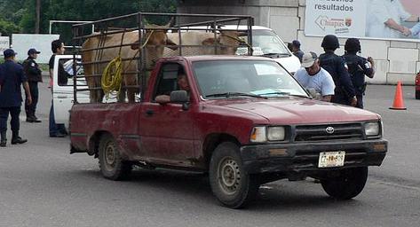 Tres operativos vigentes en Chiapas por la PEP: SSyPC