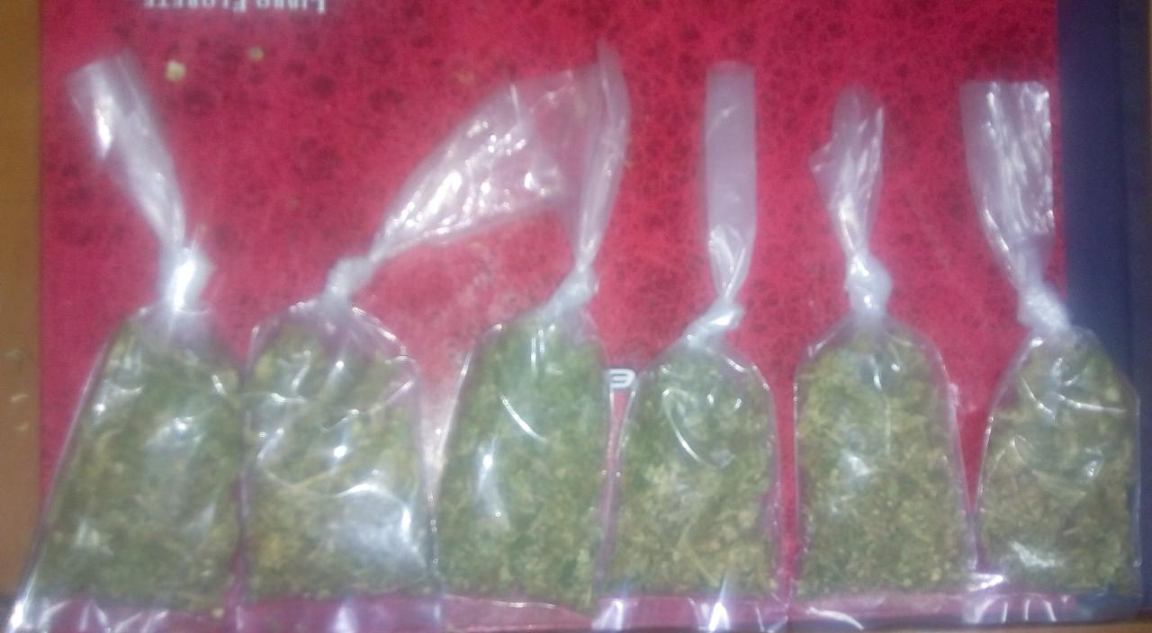 SSP asegura marihuana y detiene a dos personas en el Soconusco