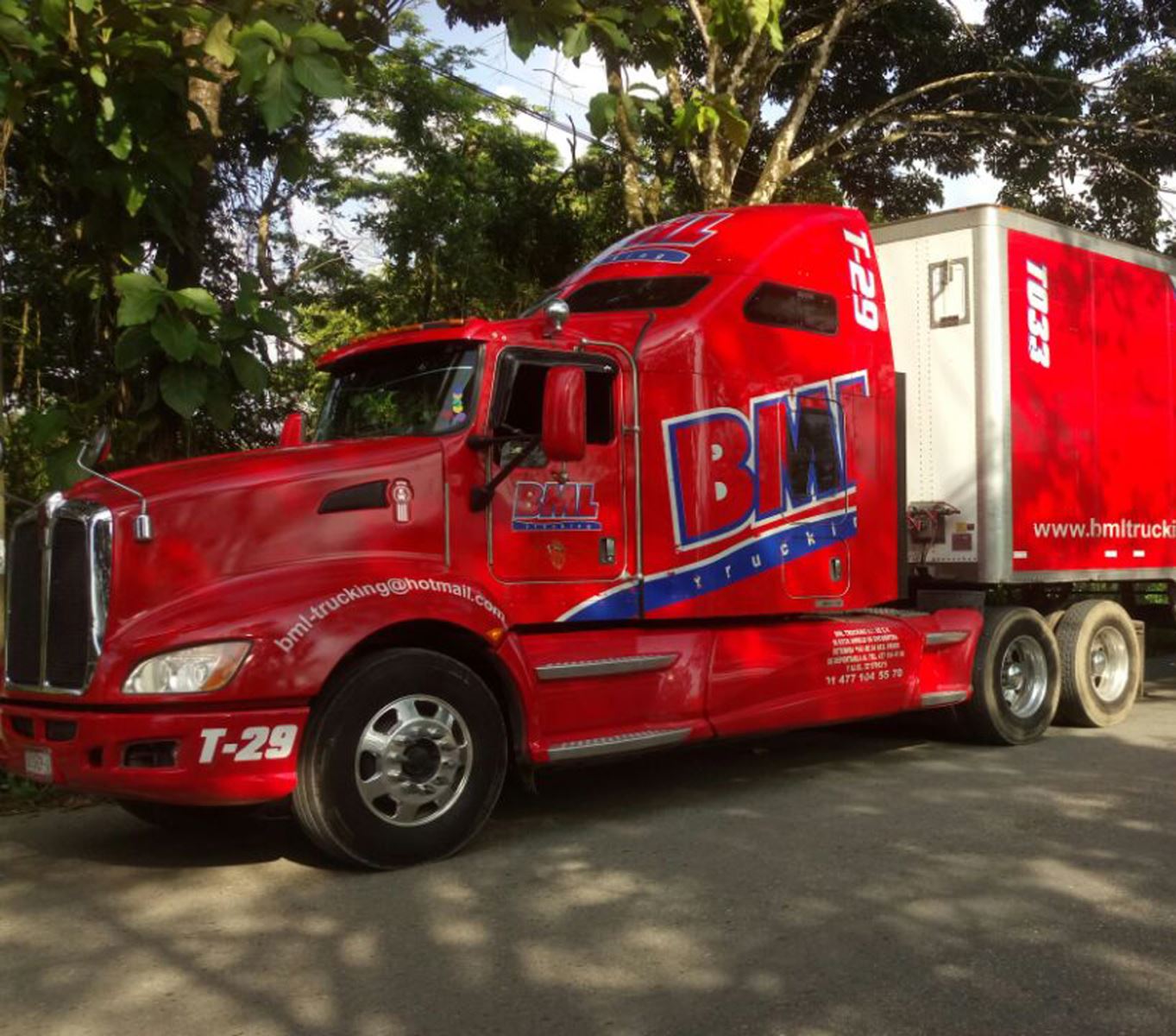 Siete detenidos por robo de ganado y transportar madera ilegal: SSP
