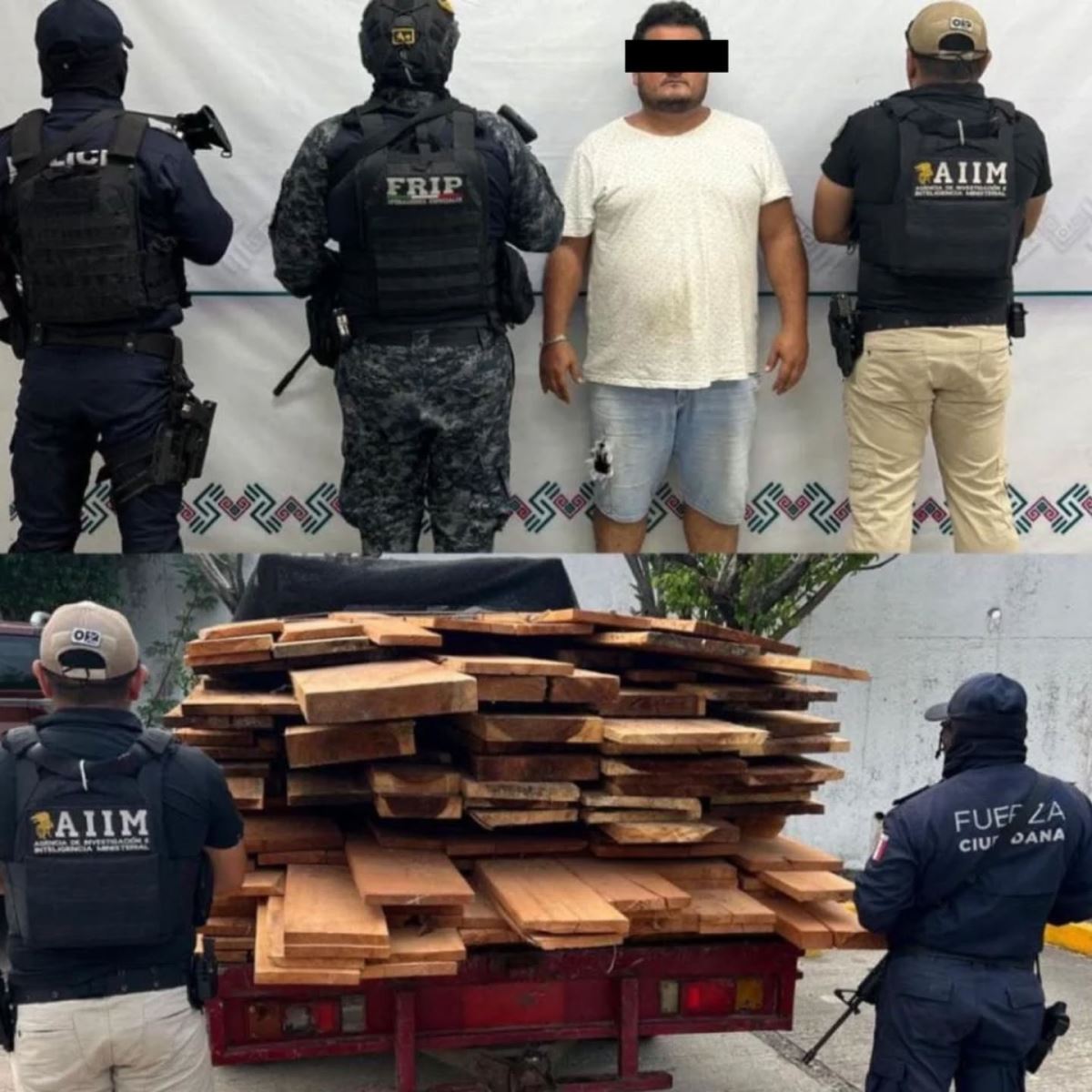 SSP y FGE detienen a persona por el posible delito de ecocidio en Tuxtla Gutiérrez.