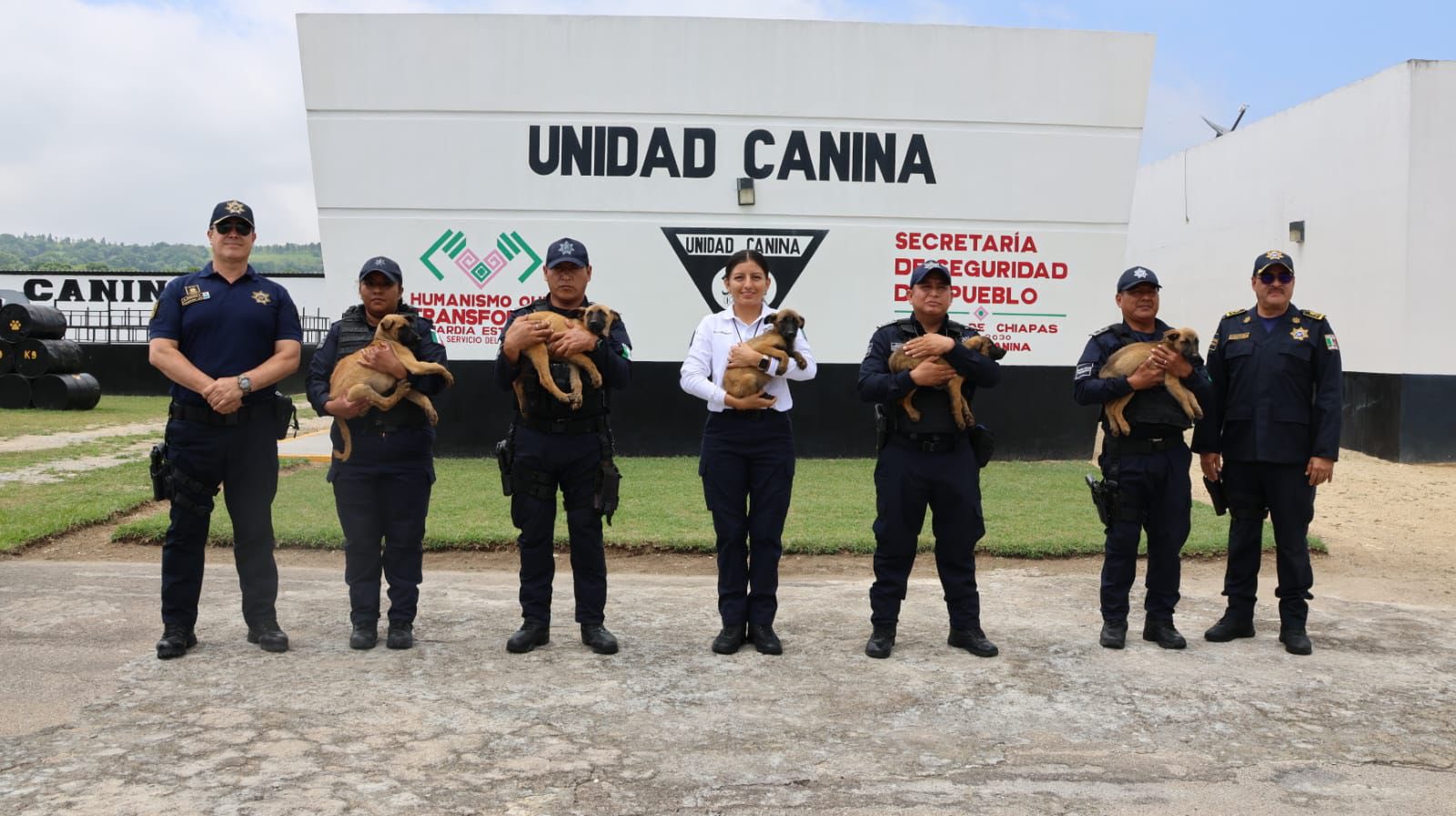 SSP recibe donación de cachorros Belga Malinois para fortalecer capacidades operativas y de atención social.