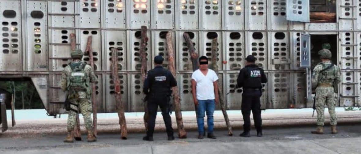 En operativo interinstitucional detienen a masculino por el posible delito de ecocidio en Ocosingo.